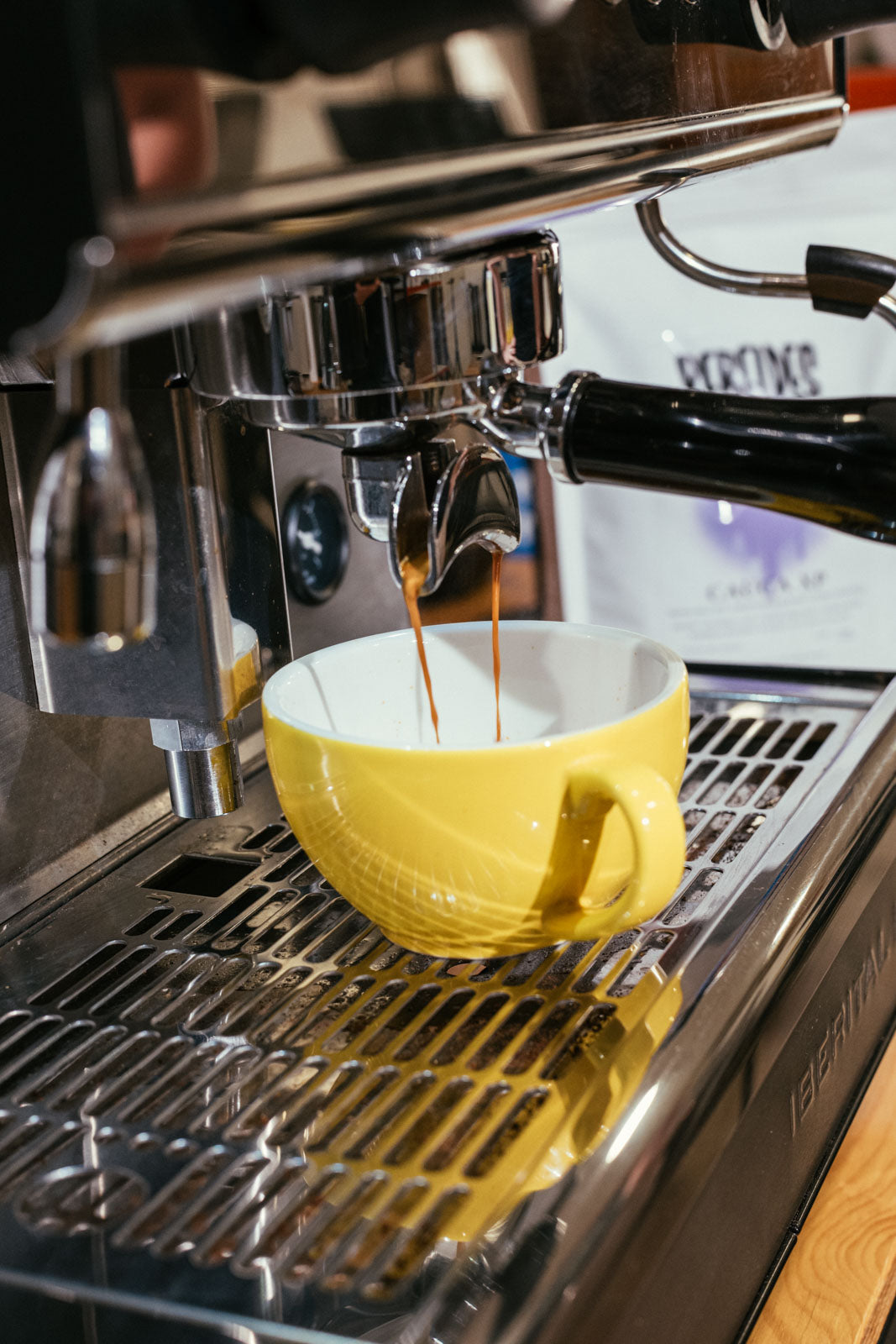 Introducción al café de especialidad
